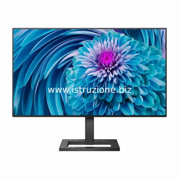 Monitor multimediale LCD IPS 27 pollici PHS19